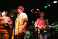 Dave Grippo Funk Band