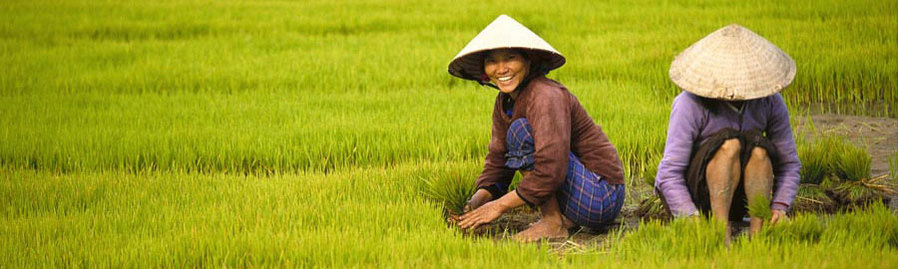 Boundless Journeys: Laos, Vietnam, and Cambodia Tour