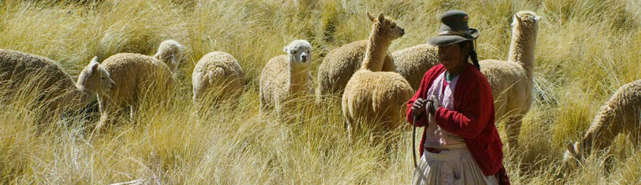 Boundless Journeys Peru Tour