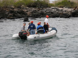 Tour of the Galapagos