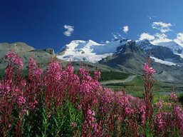 Canadian Rockies hiking scenery