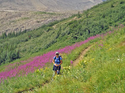 Canadian Rockies Hiking