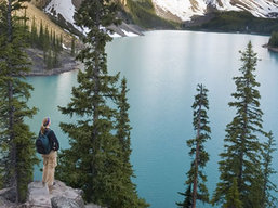 Banff National Park wildlife