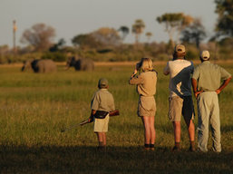 Botswana Private Safari