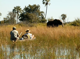 Botswana Private Safari