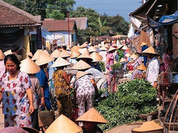 Vietnam Tour