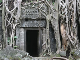 Angkor, Cambodia Tour