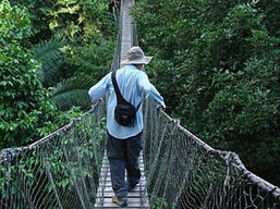 Montverde National Park, Costa Rica