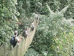 Monteverde National Park, Costa Rica