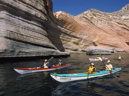Sea of Cortez sea kayaking tour