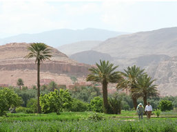 Morocco walking tour