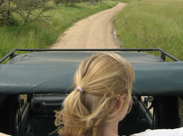 Tanzania Serengeti Wildlife Safari