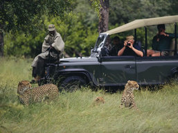 Tazania and Serengeti tours