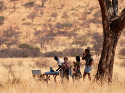 Private Safari
