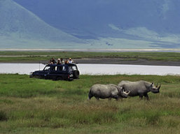 Ngorongoro Crater Safaris