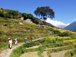Nepal trekking tours
