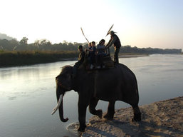 Nepal, Chitwan National Park Elephant Safari