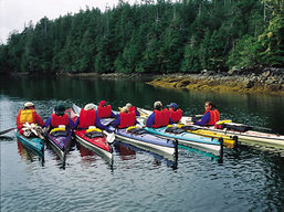 Sea Kayaking Tours