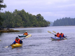 Sea Kayaking Broken Group Islands Tour