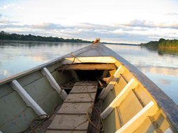 Peru Amazon Trips