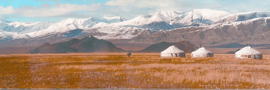 Boundless Journeys: Mongolia Tour
