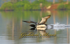 Smooth Landing