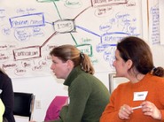 Board Strategic Visioning Session 10 January 2009