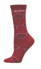 Arkansas Razorbacks Team All Over 510