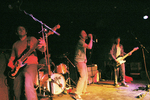 James Kochalka and Friends