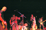 James Kochalka and Friends