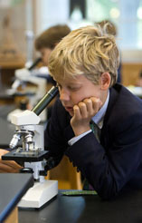 Academics