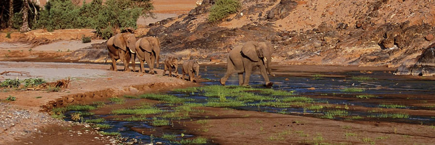 Africa