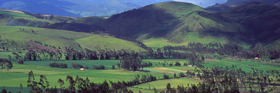 Ecuador Highlands South