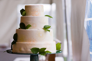 Serena and Spencer's Gorgeous Cake