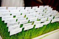 Placecards in Grass