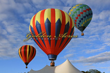 Balloon Festival 2009-9