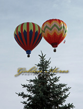 Balloon Festival 2009-21
