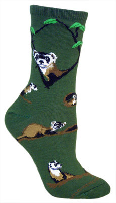 Ferret, Wild on hunter PH843