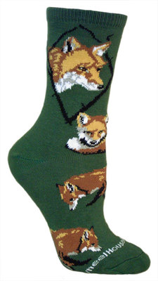 Fox, Red on hunter PH839
