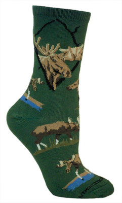 Moose, Wild on hunter PH838