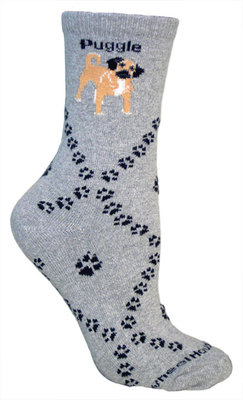 Puggle on gray PH849