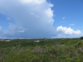 Longbay Hills View 2