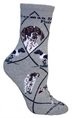 German Shorthaired Pointer on gray PH889