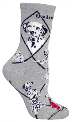 Dalmatian on gray PH868