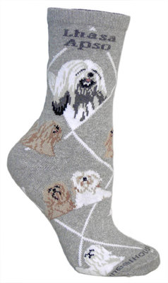 Lhasa Apso on gray PH871