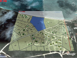 Turtle Cove Map