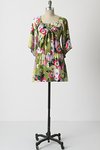 Leifsdottir Rousseau's Dress