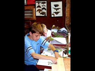 Occupations in the Nature Program are science-based