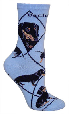 Dachshund, Black on light blue PH824