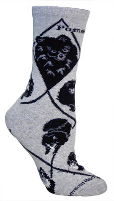 Pomeranian, Black on gray PH917
